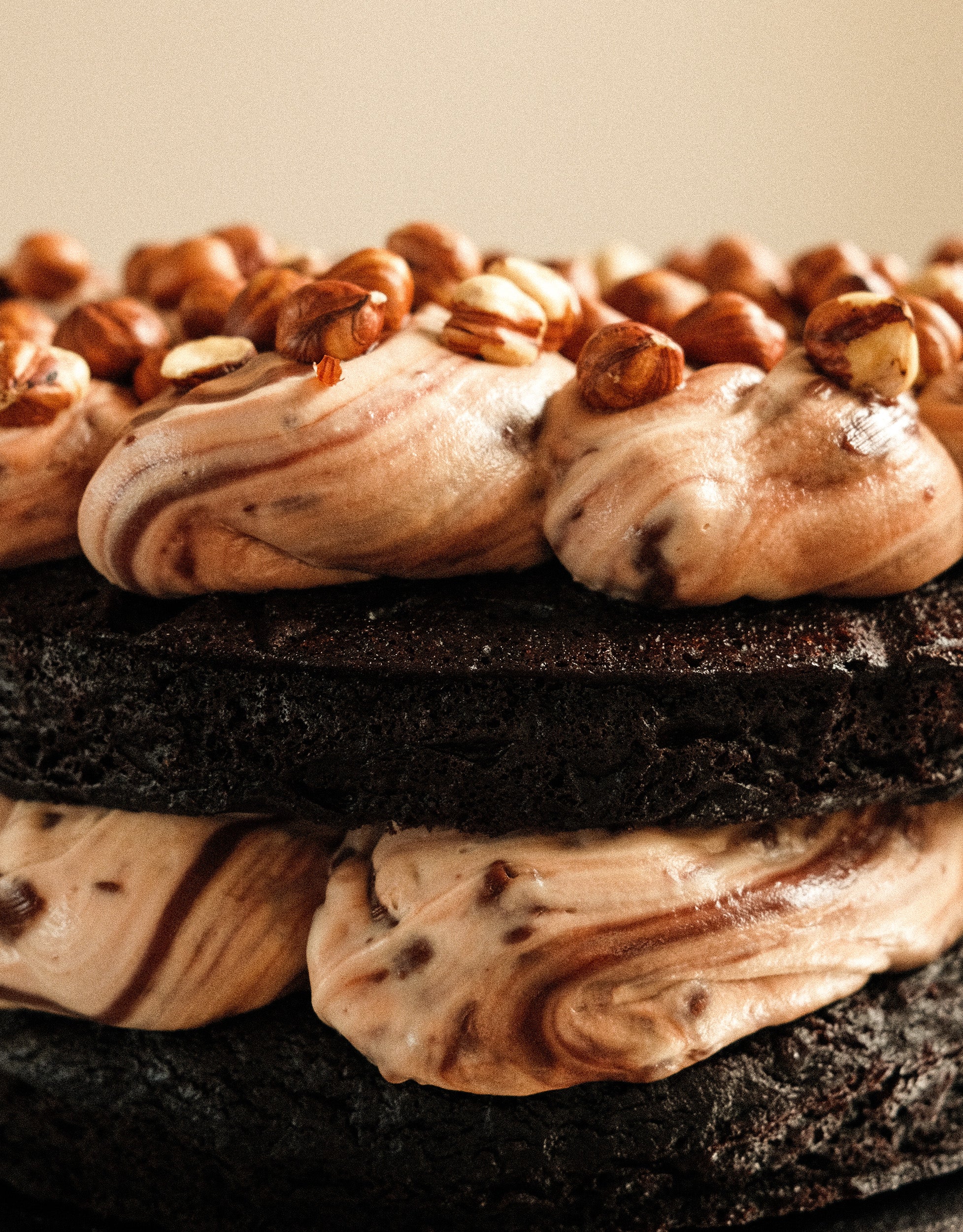 Choc Hazelnut Cake